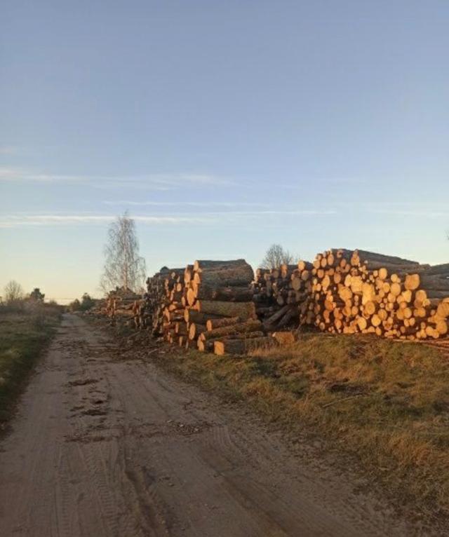 Drewno kominkowe opałowe