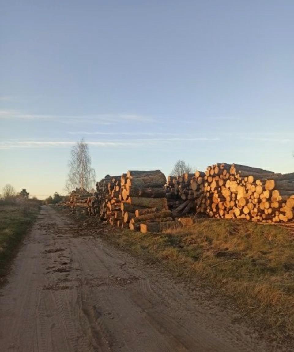 Drewno kominkowe opałowe