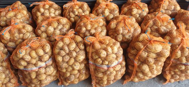 Ziemniaki 15kg