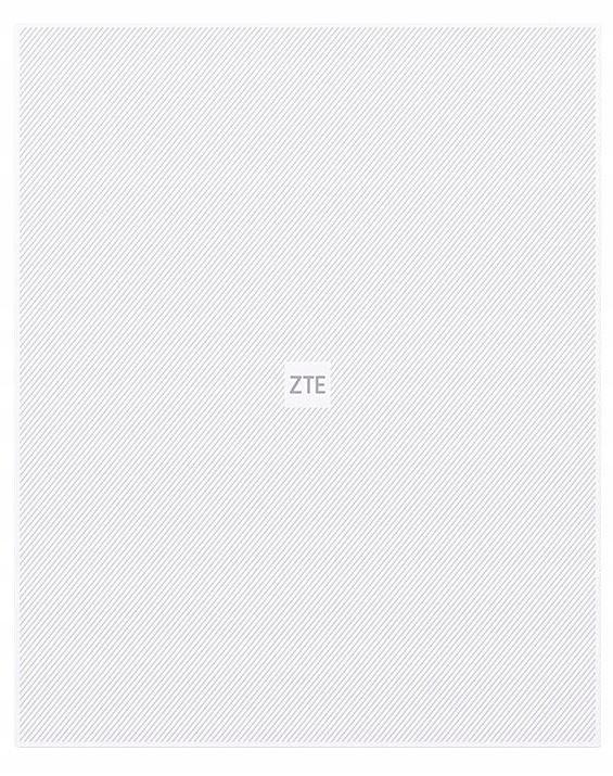 ROUTER ZTE T5400 BIALY IDU