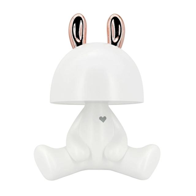 Lampka dekoracyjna LED FANCY biały 4000K akumulator + przewód USB-C